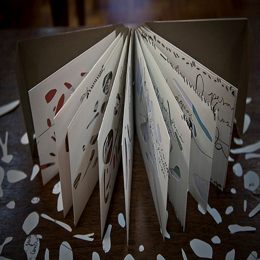 Entre a obra e a Dobra-Estela Vilela Bookartist