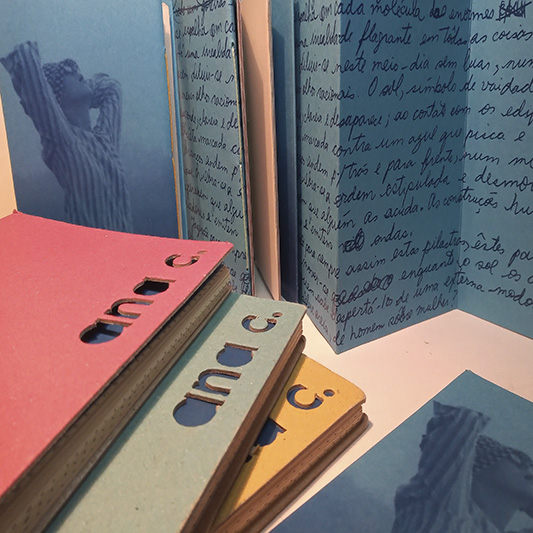 Livro experimental Flip 2016-Estela Vilela Bookartist