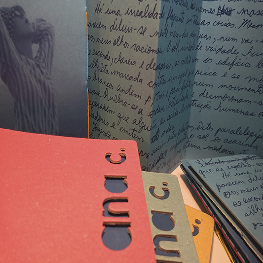 Livro experimental Flip 2016-Estela Vilela Bookartist