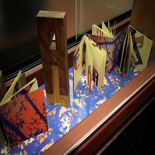 Projeto Vitrine-Estela Vilela Bookartist