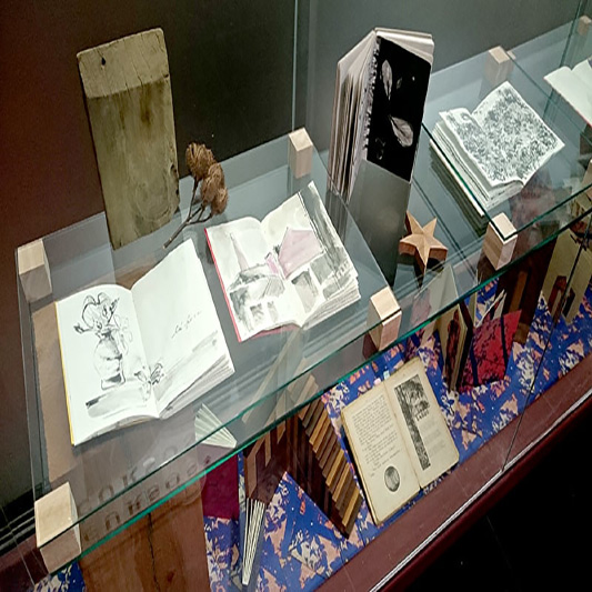 Projeto Vitrine-Estela Vilela Bookartist