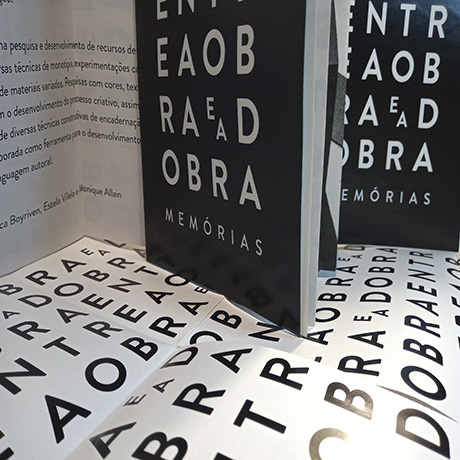Entre a obra e a Dobra- Estela Vilela Bookartist