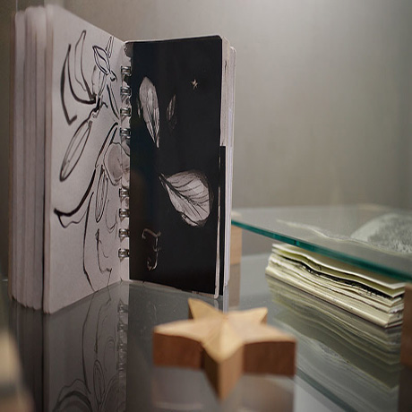 Projeto Vitrine- Estela Vilela Bookartist